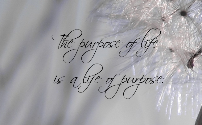 purpose-in-life-quotes-1